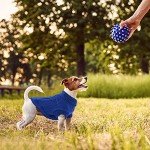 Cozy Blue Turtleneck Sweater for Small Dogs