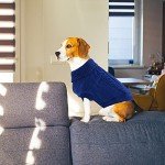 Cozy Blue Turtleneck Sweater for Small Dogs