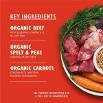 Lily's Kitchen Organic Adult Wet Dog Food Pack