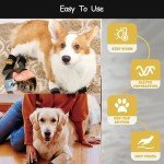 4 Dog Socks with Rubber Bottoms and Straps