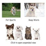 4 Dog Socks with Rubber Bottoms and Straps