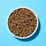Pooch & Mutt Grain-Free Salmon & Sweet Potato Dog Food