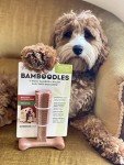 Bamboodles Peanut Butter T-Bone Chew Toy - Small