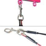 Dog Grooming Loop Set - Red, Small/Medium