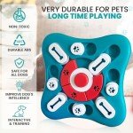 Lion Pulse BPA-Free Dog Puzzle Toy