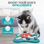 Lion Pulse BPA-Free Dog Puzzle Toy