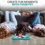 Lion Pulse BPA-Free Dog Puzzle Toy