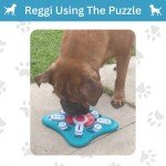 Lion Pulse BPA-Free Dog Puzzle Toy