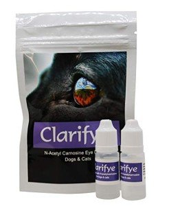 Cataract Eye Drops for Dogs - Improve Vision