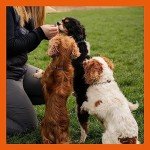 Freeze-Dried Turkey Dog Treats, Grain-Free Delight