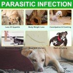 Natural Flea and Tick Chews for All Dogs