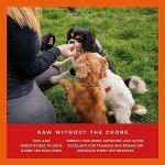 Freeze-Dried Turkey Dog Treats, Grain-Free Delight