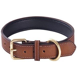 Comfortable Genuine Leather Dog Collar for All Breeds