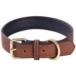 Comfortable Genuine Leather Dog Collar for All Breeds