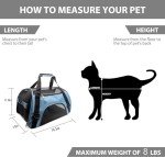 Airline Approved Dog & Cat Pet Carrier - Blue