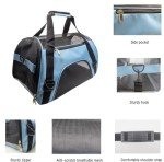 Airline Approved Dog & Cat Pet Carrier - Blue