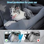 Honey Paws Dog Car Seat for Large Dogs
