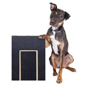 Multifunctional Dog Scratch Pad with Treat Box