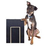 Multifunctional Dog Scratch Pad with Treat Box