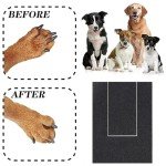 Multifunctional Dog Scratch Pad with Treat Box