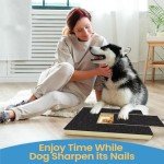 Multifunctional Dog Scratch Pad with Treat Box