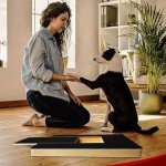 Multifunctional Dog Scratch Pad with Treat Box