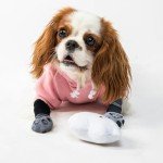 Anti-Slip Dog Socks with Adjustable Straps (3 Pairs)