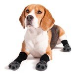 Anti-Slip Dog Socks with Adjustable Straps (3 Pairs)