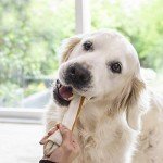 Large Chicken Chew Bone for Dogs - 1 Piece
