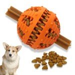PawsOnly Interactive Dog Treat Toy - Orange