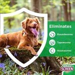 Dog Worming Tablets for Puppies and Dogs - 4 Pack