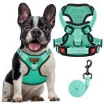 FAYOGOO Adjustable No-Pull Dog Harness, Green