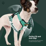 FAYOGOO Adjustable No-Pull Dog Harness, Green