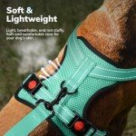 FAYOGOO Adjustable No-Pull Dog Harness, Green