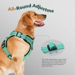 FAYOGOO Adjustable No-Pull Dog Harness, Green
