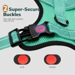 FAYOGOO Adjustable No-Pull Dog Harness, Green