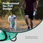 FAYOGOO Adjustable No-Pull Dog Harness, Green