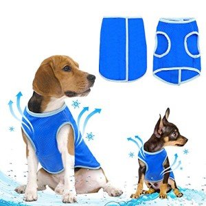 Ranphy Cooling Vest for Dogs – Lightweight and Breathable