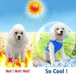 Ranphy Cooling Vest for Dogs – Lightweight and Breathable