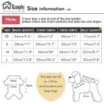 Ranphy Cooling Vest for Dogs – Lightweight and Breathable