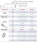 Custom Plaid Dog Collar with Engraved Info