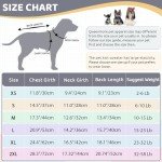 Cozy Dark Grey Knitted Dog Jumper - XS