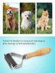 Double-Sided Pet Grooming Brush for Dogs & Cats