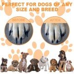 Dog Nail Scratchboard with Snack Box & Sandpaper