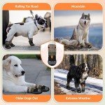 Stylish Protective Dog Shoes for All Seasons