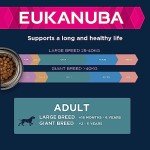 Eukanuba Dry Dog Food for Large Breeds 15kg
