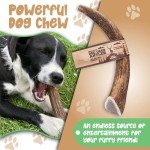 Natural Deer Antlers for Large Dogs - Chew Treats