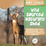 Natural Deer Antlers for Large Dogs - Chew Treats