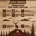 Natural Deer Antlers for Large Dogs - Chew Treats