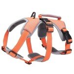 Escape-Proof No Pull Dog Harness – Medium Orange